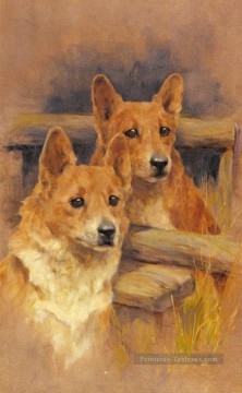  chien - Deux Corgies Arthur Wardle Chien